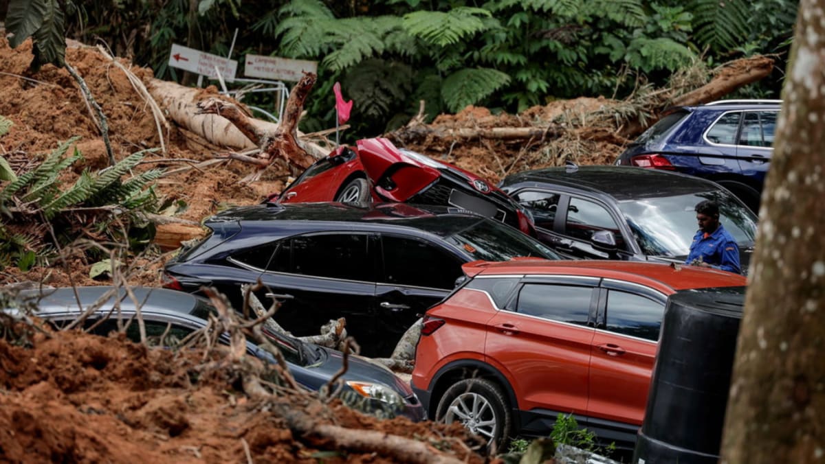 Three Singaporeans among those rescued after landslide near Genting